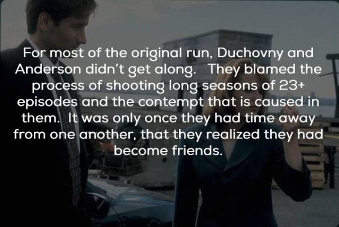 Facts About The “X-Files” (23 pics)