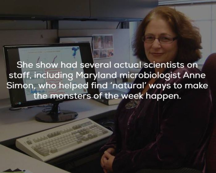 Facts About The “X-Files” (23 pics)