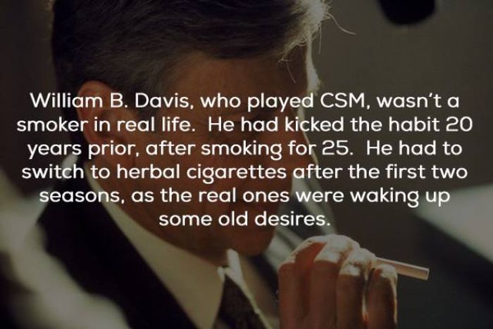 Facts About The “X-Files” (23 pics)
