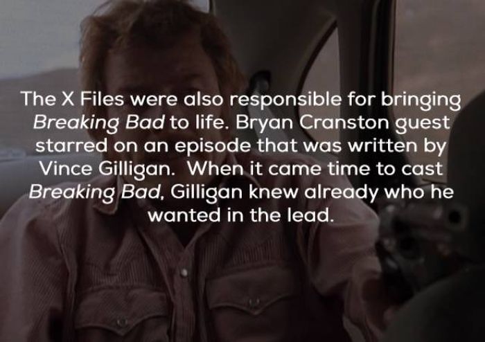 Facts About The “X-Files” (23 pics)