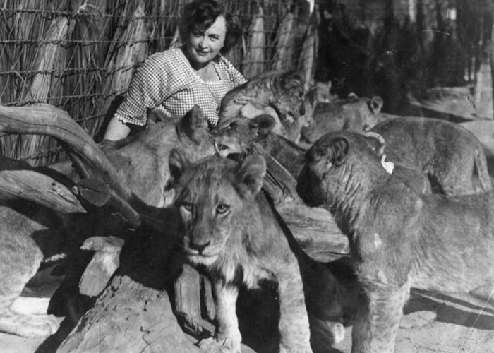 Vintage Photos Of The LA Lion Farm (20 pics)