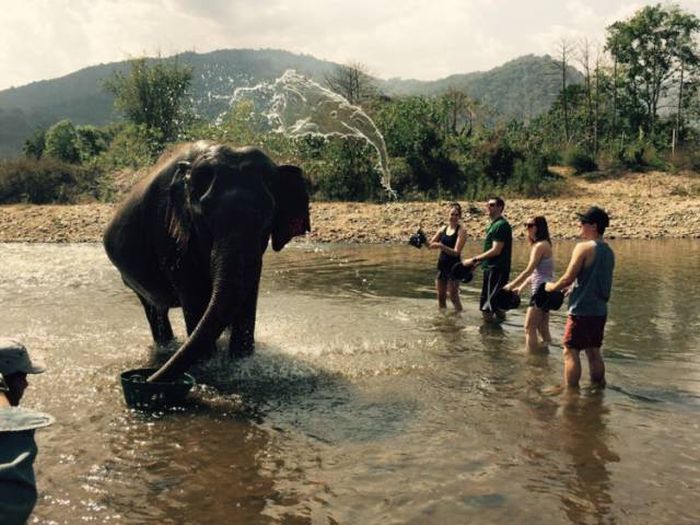 Photos That Needed That Exact Perfect Moment (37 pics)