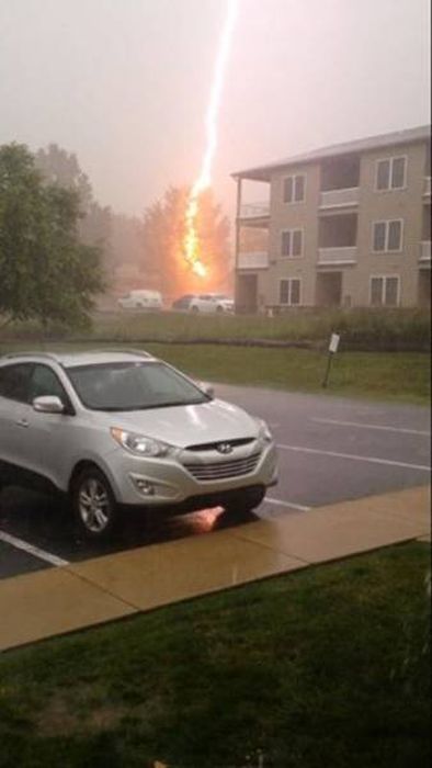 Photos That Needed That Exact Perfect Moment (37 pics)