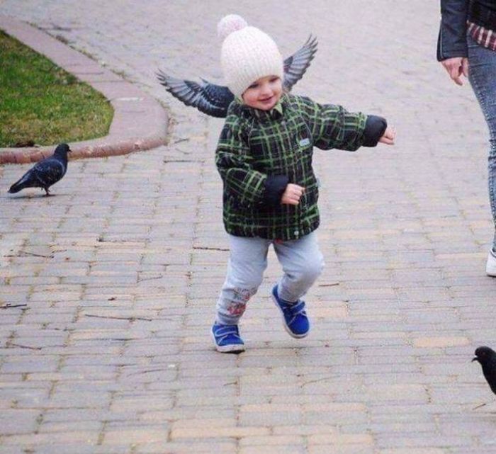 Photos That Needed That Exact Perfect Moment (37 pics)