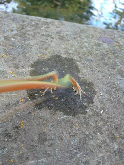 Photos That Needed That Exact Perfect Moment (37 pics)