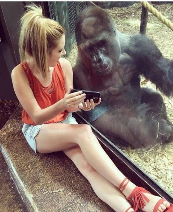 Photos That Needed That Exact Perfect Moment (37 pics)