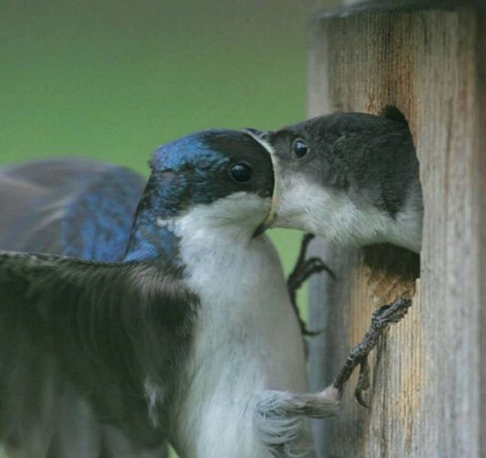 Photos That Needed That Exact Perfect Moment (37 pics)