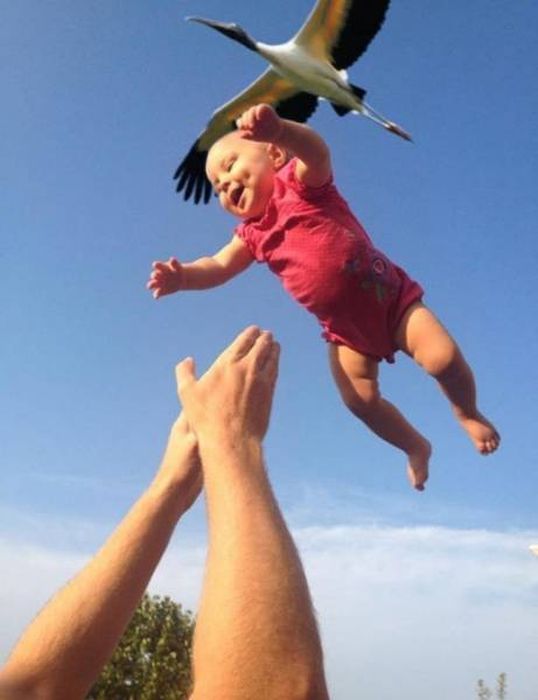Photos That Needed That Exact Perfect Moment (37 pics)