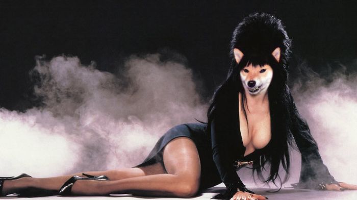 Guy Photoshops His Shiba Inu Into Famous Photos (19 pics)