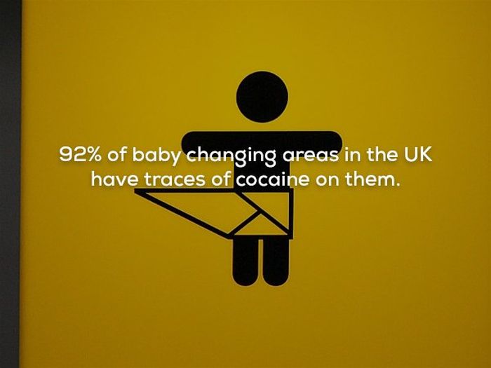 Scary Facts (21 pics)