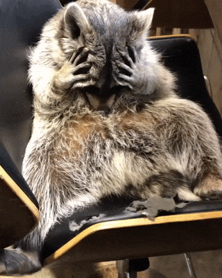 Acid Gifdump, January 16, 2018 (25 gifs)