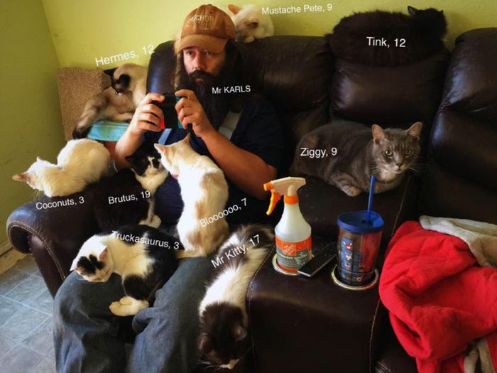 The Amazing Mr Karls and His Adorable Game/Nap Buddies. Mr Karls is one of the creators of “Kitty Adventure Rescue League & Sanctuary” – a feline retirement home located in North Texas (20 pics)