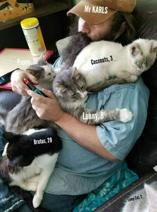 The Amazing Mr Karls and His Adorable Game/Nap Buddies. Mr Karls is one of the creators of “Kitty Adventure Rescue League & Sanctuary” – a feline retirement home located in North Texas (20 pics)