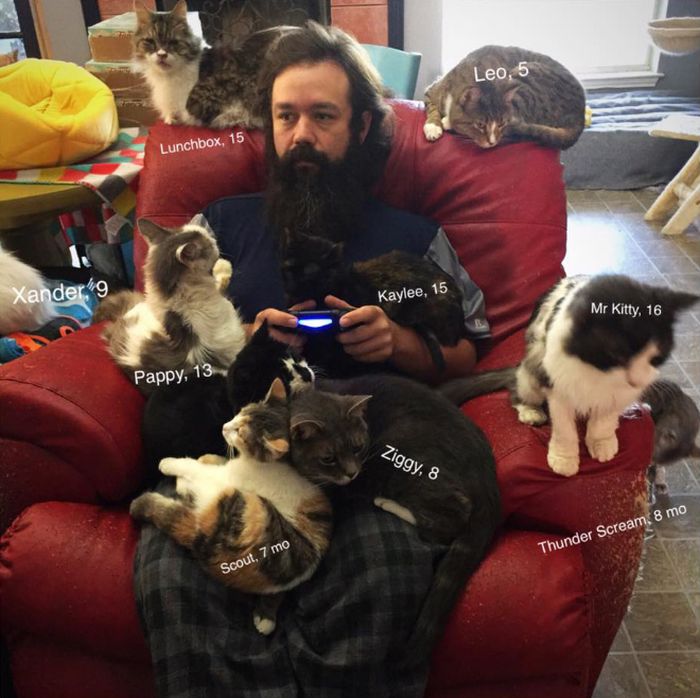 The Amazing Mr Karls and His Adorable Game/Nap Buddies. Mr Karls is one of the creators of “Kitty Adventure Rescue League & Sanctuary” – a feline retirement home located in North Texas (20 pics)