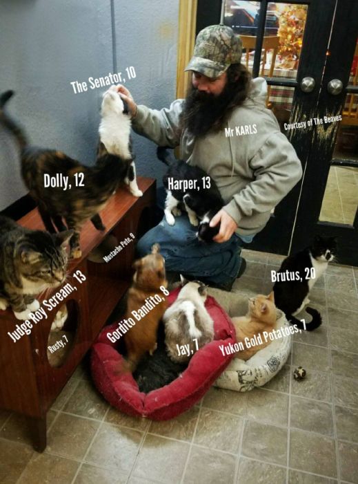 The Amazing Mr Karls and His Adorable Game/Nap Buddies. Mr Karls is one of the creators of “Kitty Adventure Rescue League & Sanctuary” – a feline retirement home located in North Texas (20 pics)