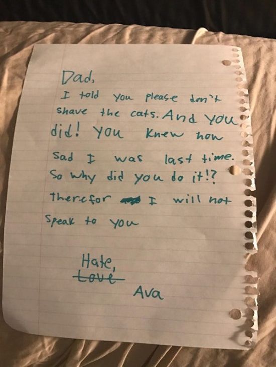 Hilarious Notes From Kids (27 pics)