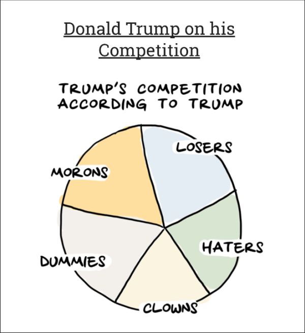 Charts That Show Where Trump Stands On The Issues (10 pics)