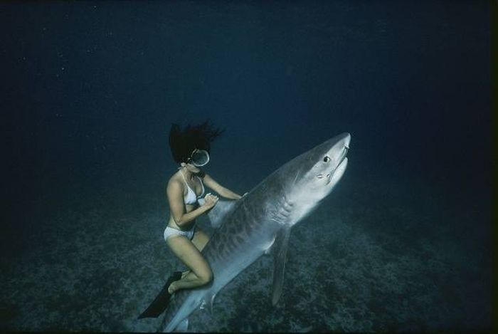 Acid Picdump (93 pics)