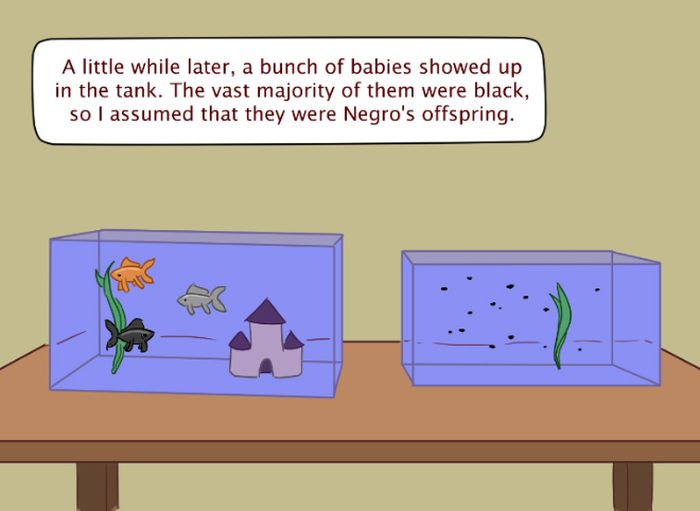 Hilarious Story About The Accidental Racism (8 pics)