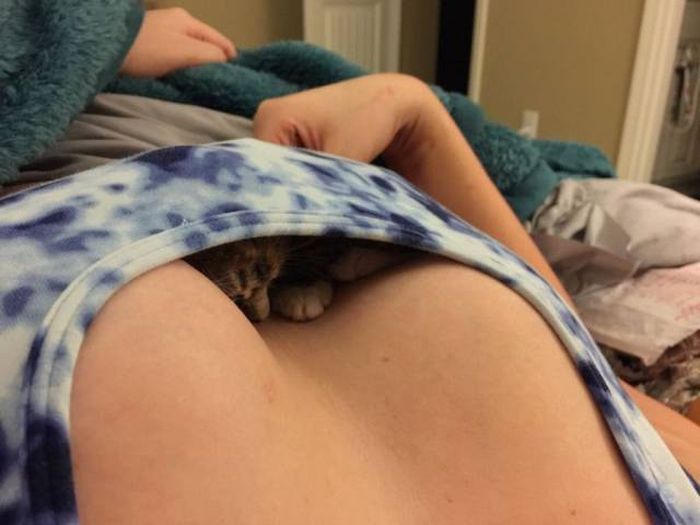 Acid Picdump (98 pics)