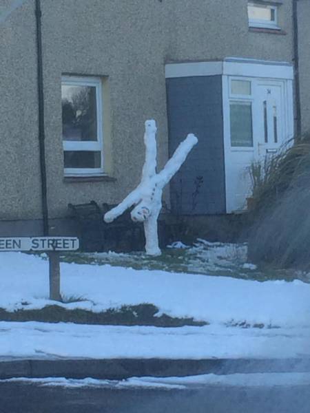 Acid Picdump (98 pics)