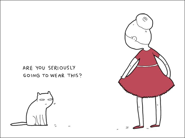 If Cats Could Speak…(8 pics)