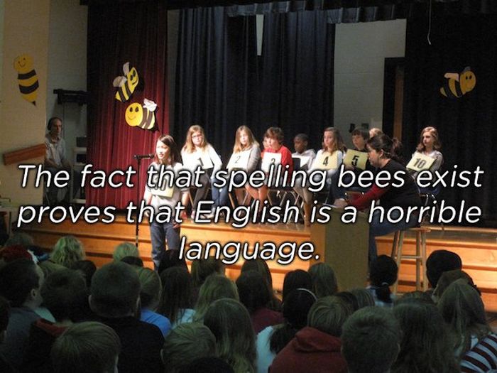 Shower Thoughts (17 pics)