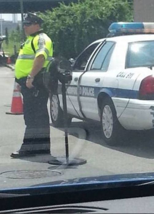 Almost Nailed It (48 pics)