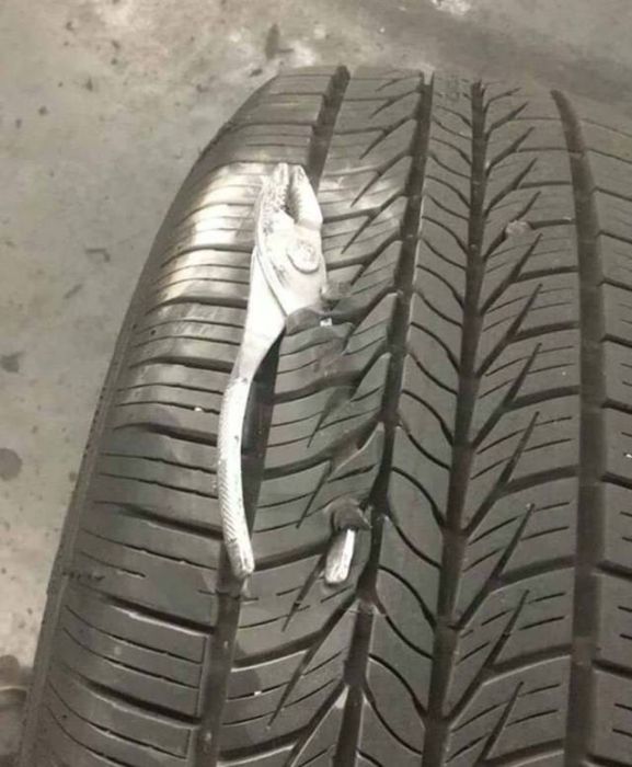 Sh*t Happens (49 pics)