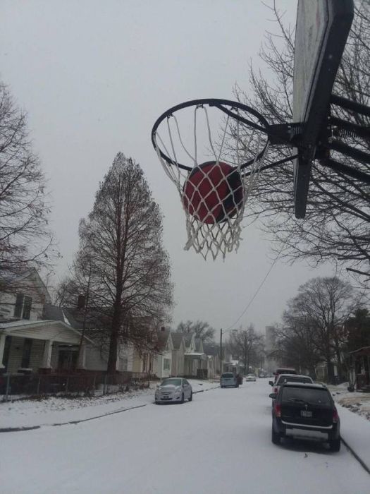 Sh*t Happens (49 pics)