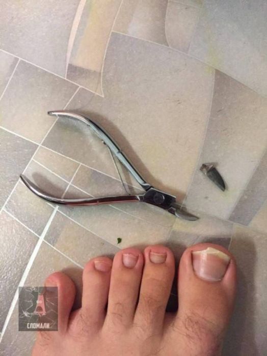 Sh*t Happens (49 pics)