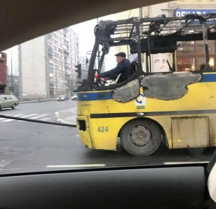 WTF Photos (54 pics)