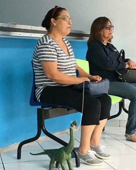 WTF Photos (54 pics)