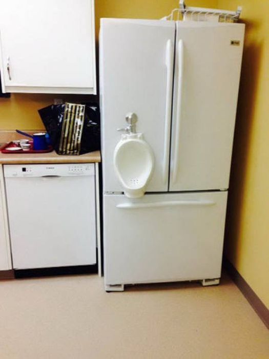WTF Photos (54 pics)
