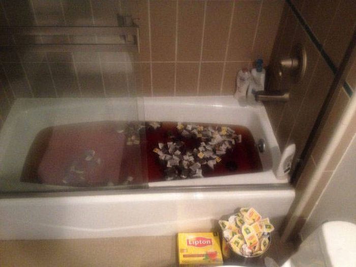 WTF Photos (54 pics)