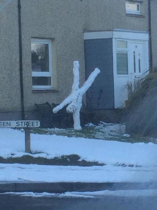 WTF Photos (54 pics)