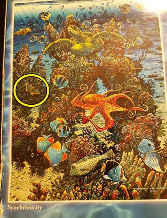 WTF Photos (54 pics)