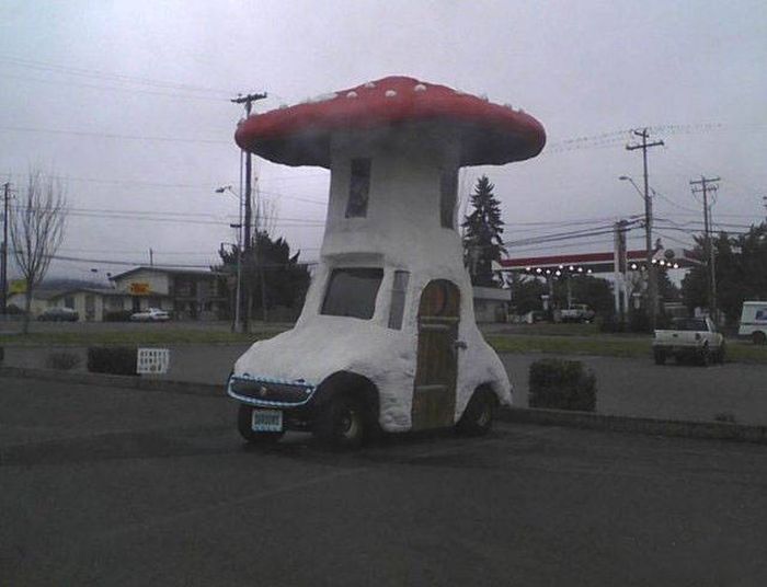 WTF Photos (54 pics)