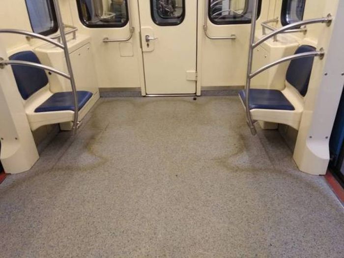 WTF Photos (54 pics)