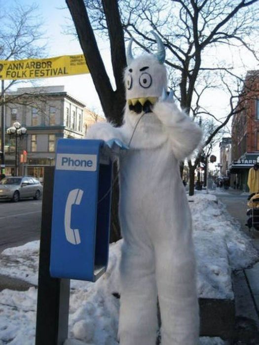 WTF Photos (54 pics)