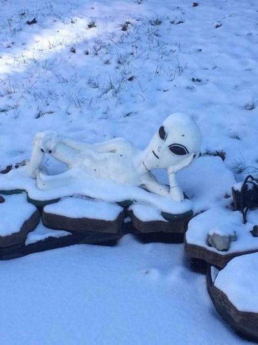 WTF Photos (54 pics)
