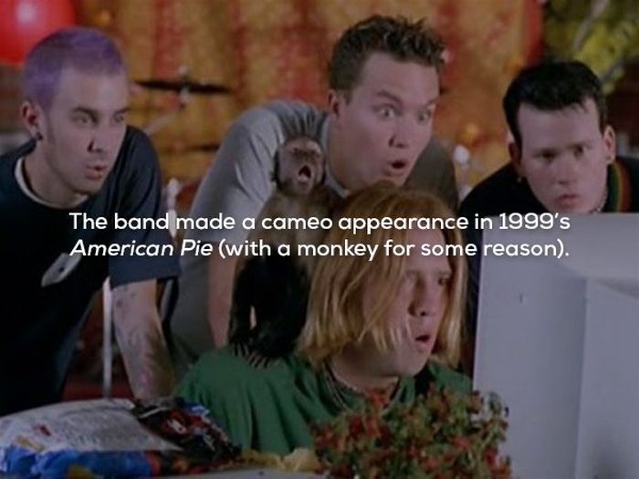 Blink-182 Facts (22 pics)