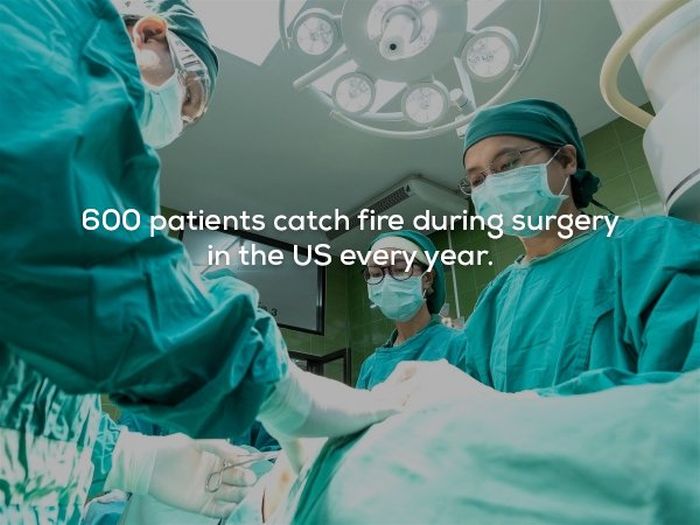 Scary Facts (22 pics)
