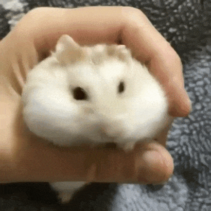 Acid Gifdump, January 23, 2018 (25 gifs)