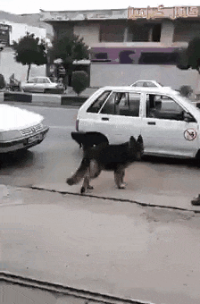 Acid Gifdump, January 23, 2018 (25 gifs)