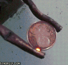 Acid Gifdump, January 23, 2018 (25 gifs)