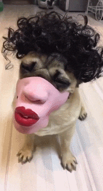 Acid Gifdump, January 23, 2018 (25 gifs)
