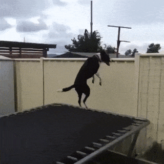 Acid Gifdump, January 23, 2018 (25 gifs)