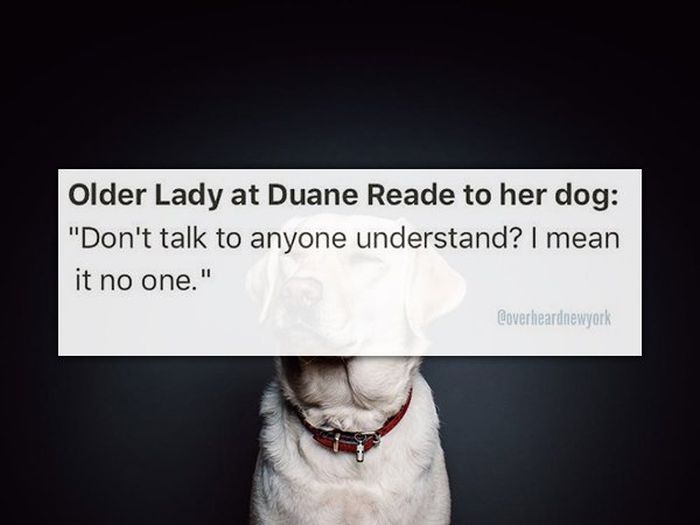 New Yorkers Share The Weirdest Things They’ve Overheard (25 pics)