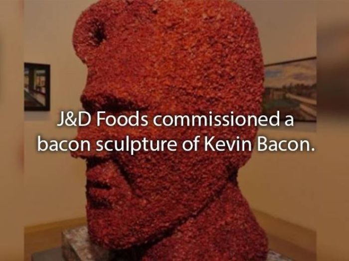 Well-Cooked Bacon Facts (20 pics)